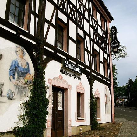 Landhotel Goldener Becher Limbach-Oberfrohna ภายนอก รูปภาพ